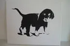 Black-Devils-Puppy