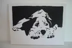 Dalmatiner-Puppy