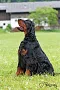 14401_sangerfieldemotion-3.jpg