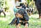 2013-Fressnapf-Gordon-Setter-Shizu-087-1024x683.jpg