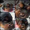 collage_blaurosa.jpg