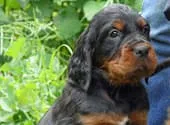 Wir-erwarten-2012-unseren-L-Wurf