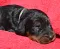 1_dsc_0015.jpg