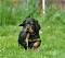 1_dsc_0021_22gelb.jpg