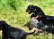 1_dsc_0025.jpg