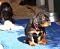 1_dsc_0035.jpg