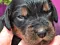 1_dsc_0036_23pink.jpg