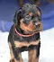 1_dsc_0043_15rot.jpg