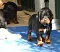 1_dsc_0049.jpg