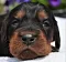 1_dsc_0076_4rot.jpg