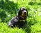 1_dsc_0078.jpg