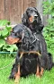1_dsc_0111_2.jpg