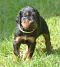 1_dsc_0144.jpg