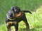 1_dsc_0151.jpg