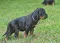 1_dsc_0161.jpg