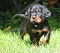 1_dsc_0171.jpg