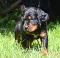1_dsc_0172.jpg
