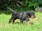 1_dsc_0252.jpg