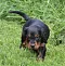 1_dsc_0297_2.jpg