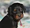 1_dsc_0327_2.jpg