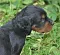 1_dsc_0509_2.jpg