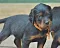 1_dsc_0572_2.jpg