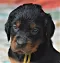 1_dsc_0587_2.jpg