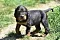 25.04.20_2_003lila.jpg
