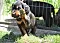 25.04.20_2_008lila.jpg