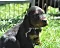 25.04.20_2_011lila.jpg