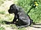 25.04.20_2_012lila.jpg