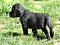 25.04.20_2_013lila.jpg