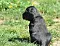 25.04.20_2_023lila.jpg