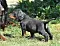 25.04.20_2_025lila.jpg