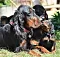 25.04.20_2_029lila.jpg