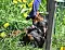 25.04.20_2_039lilaweiss.jpg