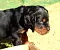 2_dsc_0007.jpg
