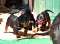 3_dsc_0018.jpg