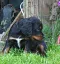 3_dsc_0020.jpg