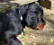 3_dsc_0023.jpg