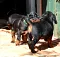 4_dsc_0019.jpg