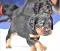 dsc_0003_20lila.jpg