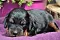 dsc_0004_23olive.jpg