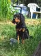dsc_0005_10.jpg