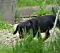 dsc_0007_29rot.jpg
