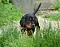 dsc_0008_34rot.jpg