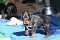 dsc_0014.jpg