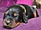 dsc_0016_32gelb.jpg