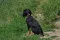 dsc_0019_4.jpg