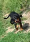 dsc_0020_5.jpg